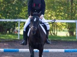 IMG_7014_web